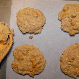 Coconut Butterscotch Cookies