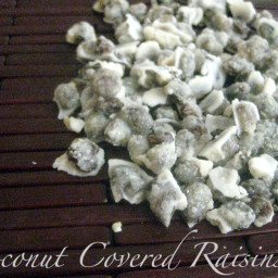 Coconut Covered Raisins