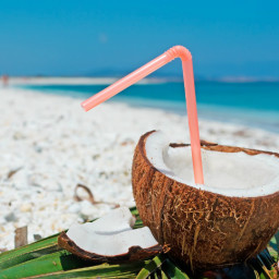 Coconut Rum: Spring and Summer Fresh Drinks