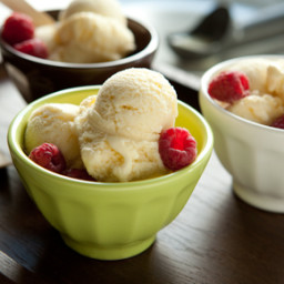 Coconut Milk Ice Cream
