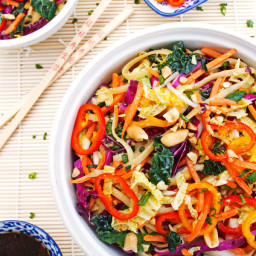 Colorful Asian Noodle Salad
