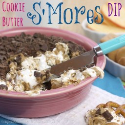 Cookie Butter S'Mores Dip