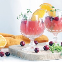 Cranberry and Orange Vodka Cocktail
