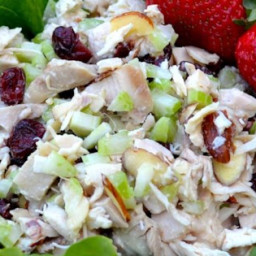 Cranberry and Turkey Salad Recipe