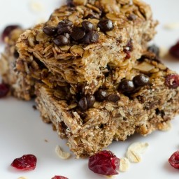 Cranberry Chocolate Granola Bars — Frugal and Easy!