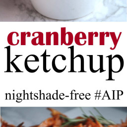 Cranberry Ketchup