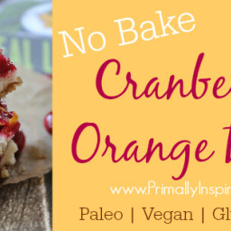 Cranberry Orange Bars No Bake (Paleo, Vegan, Gluten Free)