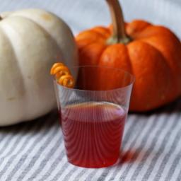 Cranberry Sauce Jello Shots Recipe by Tasty