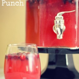 Cranberry Vodka Punch