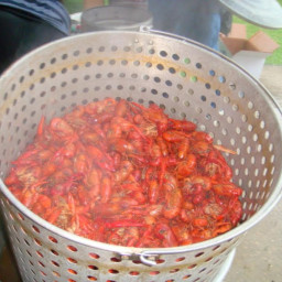 CRAWFISH BOIL - LET THE GOOD TIMES ROLL