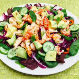 Crayfish salad with avocado, red cabbage and cucumber