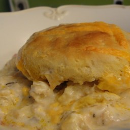 Creamed Chicken with Biscuits (19)