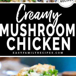 Creamy Mushroom Chicken Bake · Easy Family Recipes