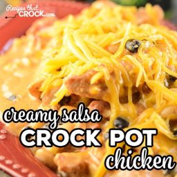 Creamy Salsa Crock Pot Chicken Recipe