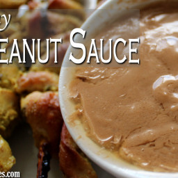 Creamy Thai Peanut Sauce