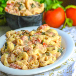 Creamy Tortellini with Spinach & Tomatoes