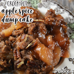 Crock Pot Apple Spice Dump Cake