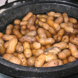Crock Pot Boiled Peanuts