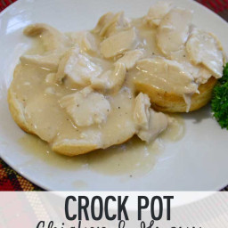 Crock Pot Chicken and Gravy