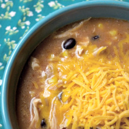 Crock-Pot Chicken Enchilada Soup Recipe!