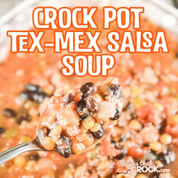 Crock Pot Tex-Mex Salsa Soup
