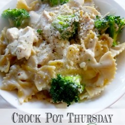 Crock Pot Thursday: Chicken Broccoli Alfredo
