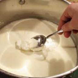 Crock Pot Yogurt (Homemade)