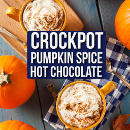 Crockpot Pumpkin Spice Hot Chocolate