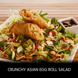 Crunchy Asian Egg Roll Salad