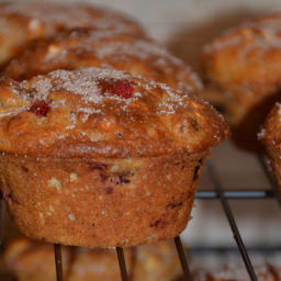 Crunchy Oat and Cranberry Muffins - Gluten Free