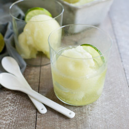 Cucumber Gin and Tonic Sorbet