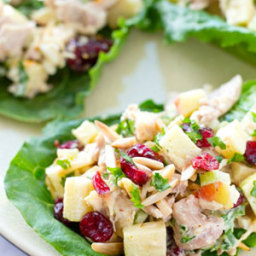 Curried Apple Cranberry Chicken Salad Lettuce Wraps