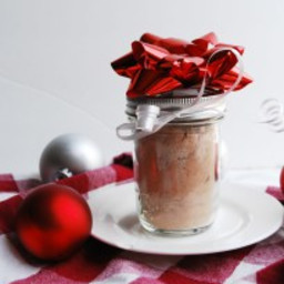 Dairy-free and Vegan Homemade Hot Cocoa Mix (Gluten, dairy, egg, soy, peanu