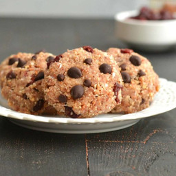 Dark Chocolate Cranberry ‘Oat’ Cookies (No Baking Required!)