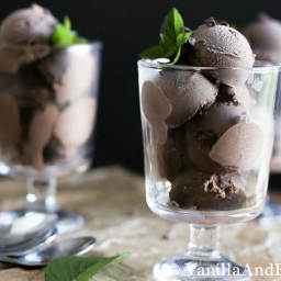 Dark Chocolate Ice Cream with Cocoa Nib {vegan}
