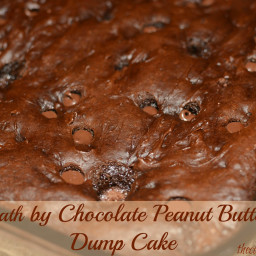 Death by Chocolate Peanut Butter Dump Cake