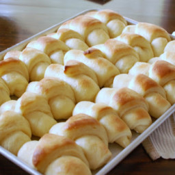 Dinner Rolls To Make You Drool