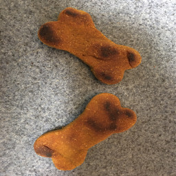 Dino’s Dog Biscuits