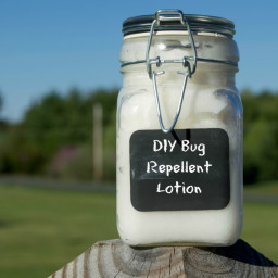 DIY Bug Repellent Lotion (All Natural)