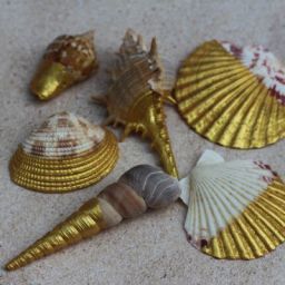 DIY Gold Painted Seashells Craft