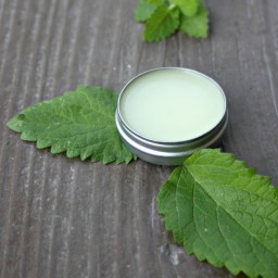 DIY Lemon Balm Lip Cream for Cold Sore Relief