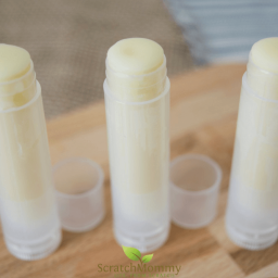DIY Shea Butter Lip Balm (great for cold sores)