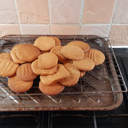 DofE1 Ginger Biscuits 