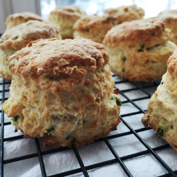 Dorie Greenspan's Herbed Cottage Cheese Biscuits