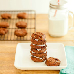 Double Chocolate Nut Butter Cookies Low Carb