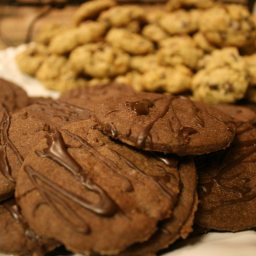 double-chocolate-sugar-cookies.jpg