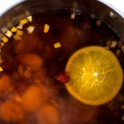 Dried Apricot, Cherry and Cranberry Infusion
