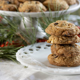Dried Cranberry and Chocolate Cookies