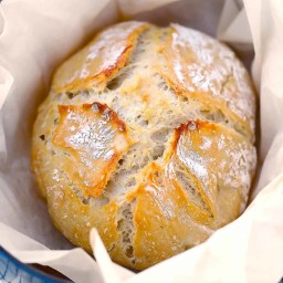 Dutch Oven No Knead Bread (with perfect crusty crust!)