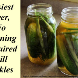 Easiest Ever, No Canning Required Dill Pickles